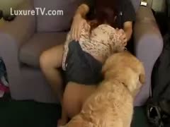 An older, dirty college lady takes a human and a beast schlong.